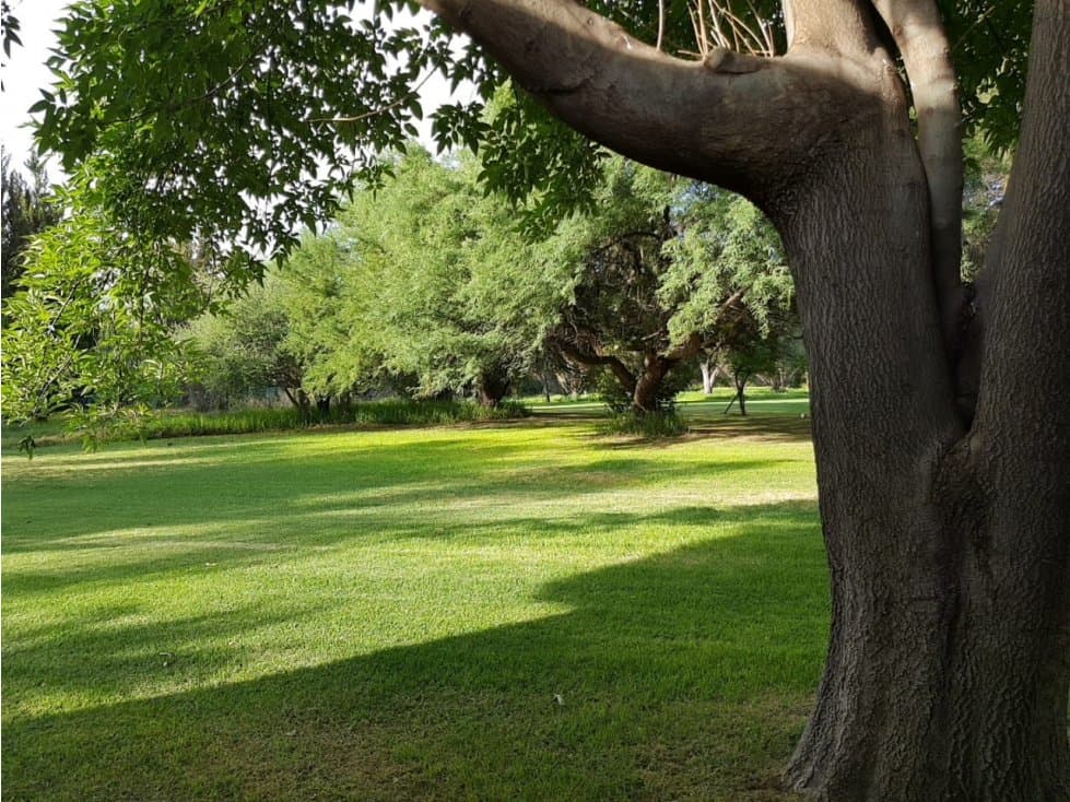 VENTA DE CASA CAMPESTRE EDEN LOS SABINOS — foto 4