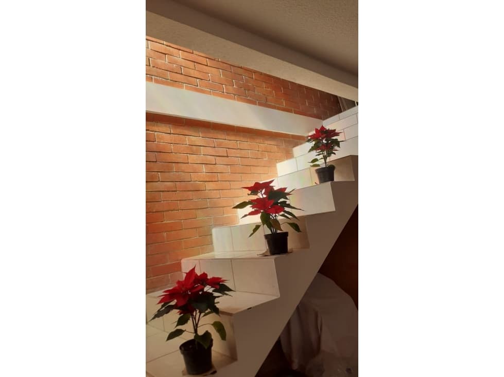 VENTA DE CASA Jardines del Río al sur — foto 5