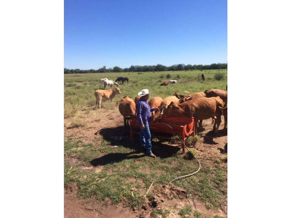 SE VENDE CAMPO AGRÍCOLA  DE 70 HAS A 25 MIN DE HERMOSILLO — foto 3