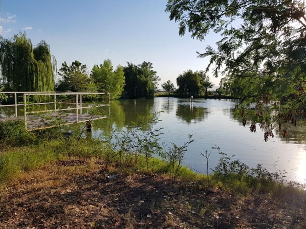 SE VENDE CAMPO AGRÍCOLA  DE 70 HAS A 25 MIN DE HERMOSILLO — foto 4