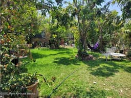 Qh1 Casa con jardín de 150m2 y 3 locales comerciales en venta!
