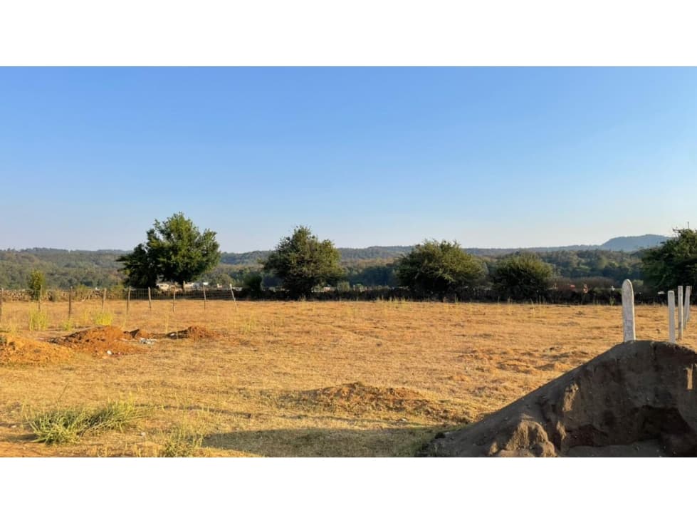 Terreno en Venta Plano Bien Ubicado Col La Ilusion — foto 3