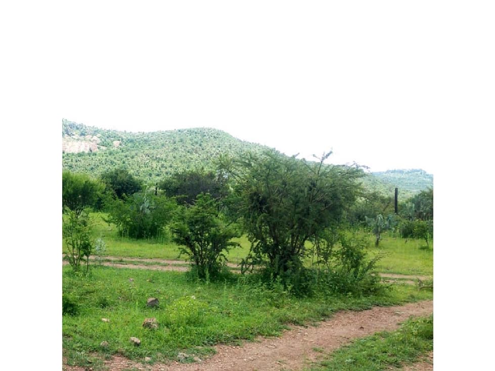 Terrenos Campestres Garabitos!! — foto 2