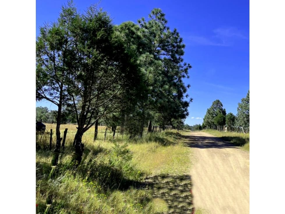 CAMPESTRE LOS LOBOS..!! — foto 2