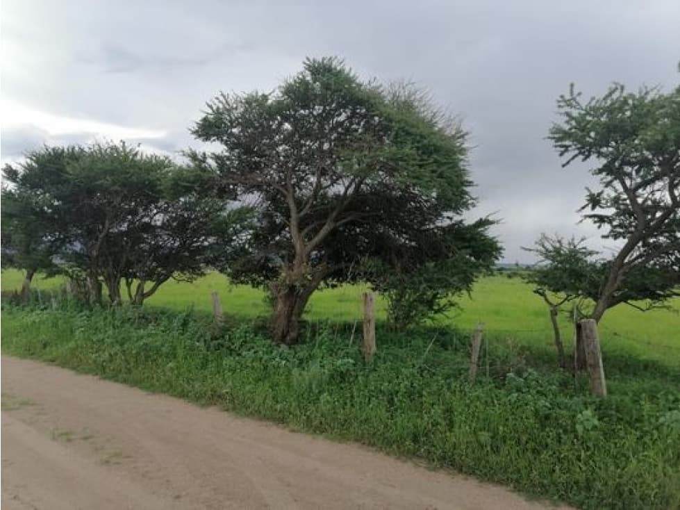 Terreno Campestre — foto 5