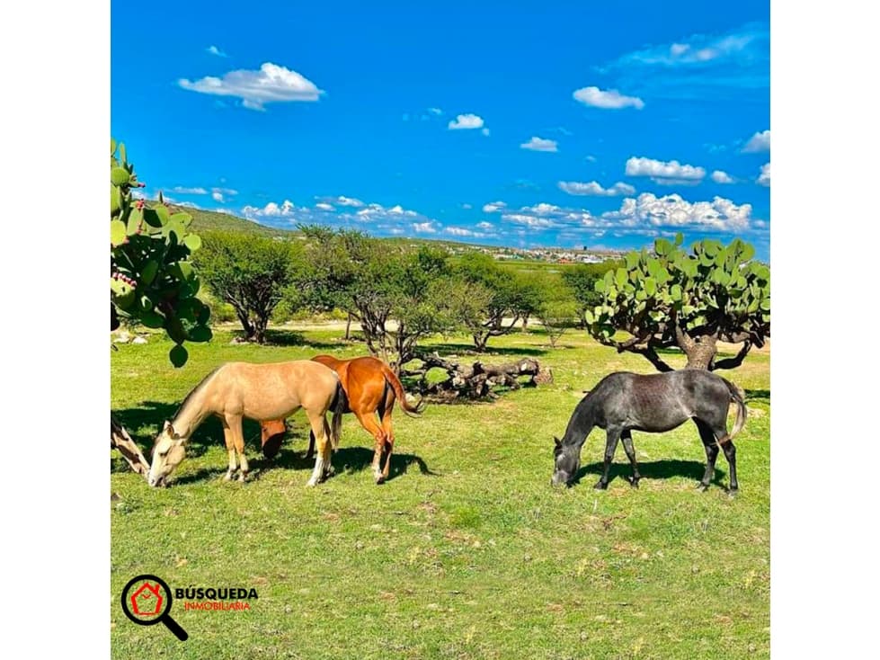 Terrenos Campestres Garabitos!! — foto 3