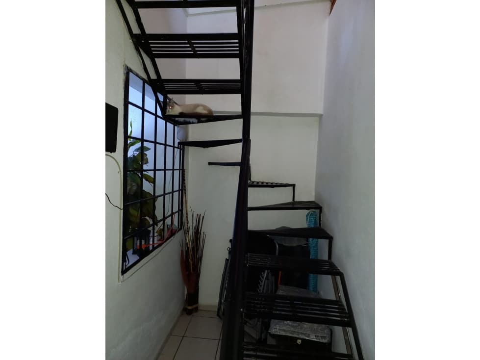 francisco villa — foto 4