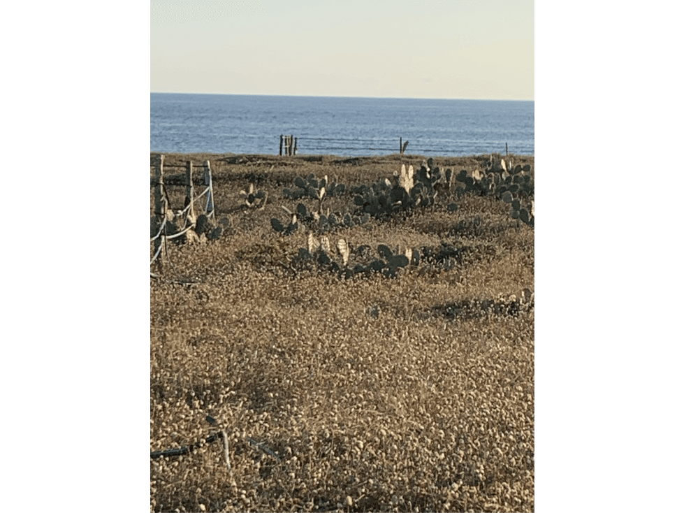 HERMOSO TERRENO A METROS DEL MAR — foto 3