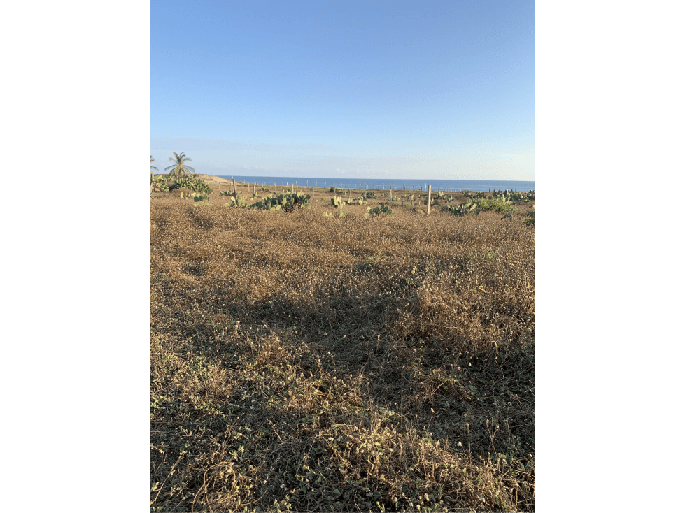 HERMOSO TERRENO A METROS DEL MAR — foto 6