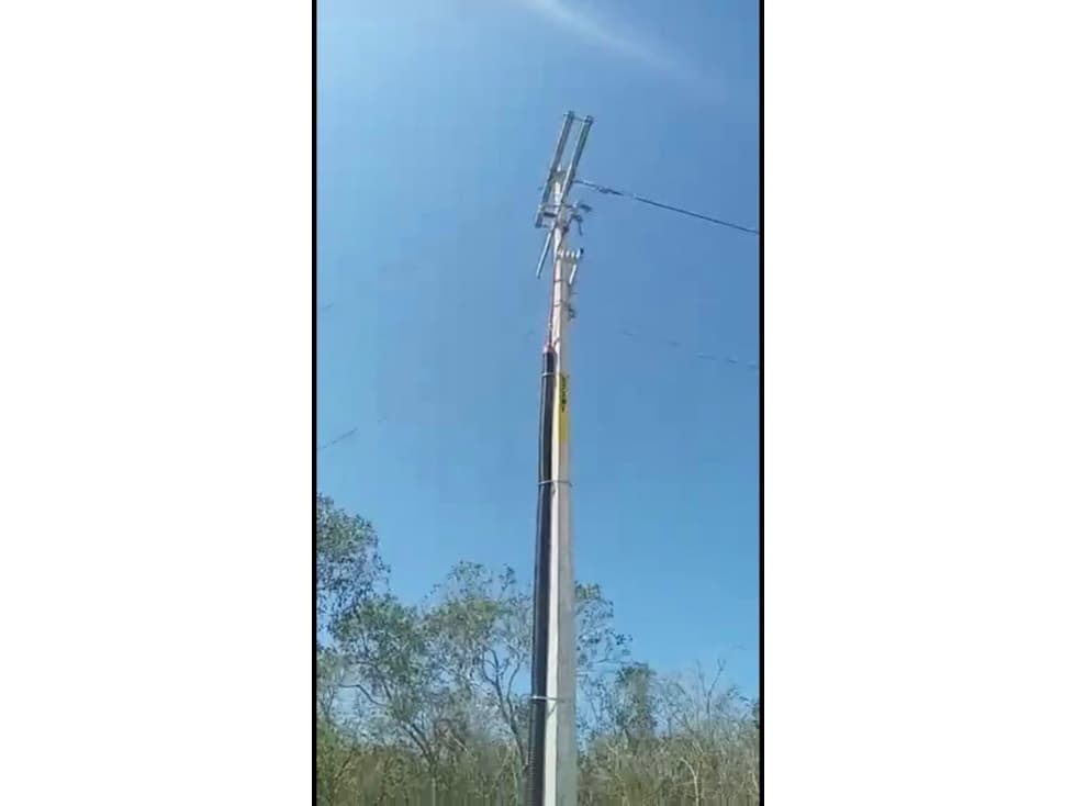 Hectáreas en venta , Komchén , Yucatán. — foto 1