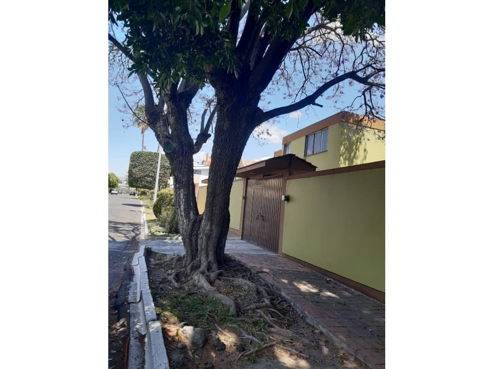Casa en Venta En Fraccionamiento Las Animas — foto 3
