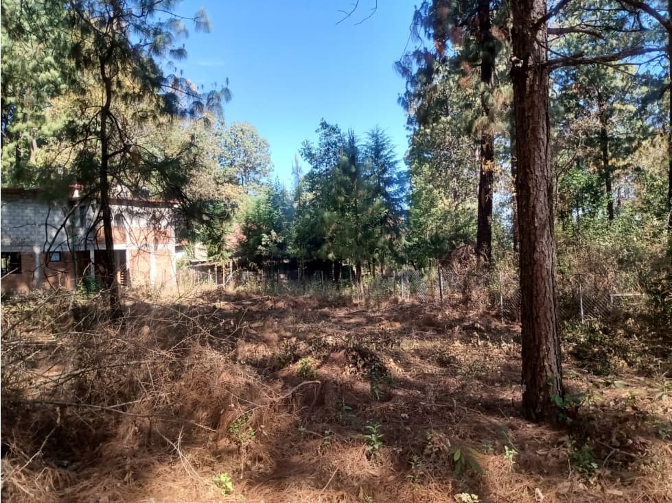 TERRENO CAMINO A CERRO GORDO — foto 3