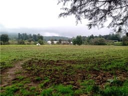 TERRENO SAN SIMÓN ALTO