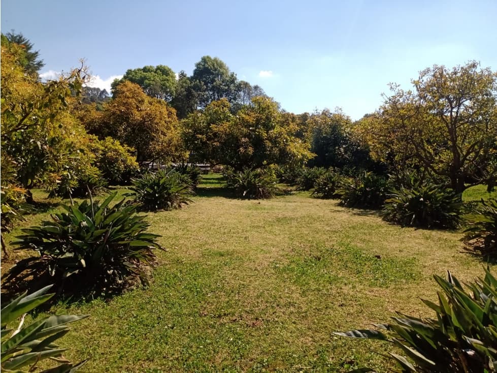TERRENO LA CANDELARIA — foto 1