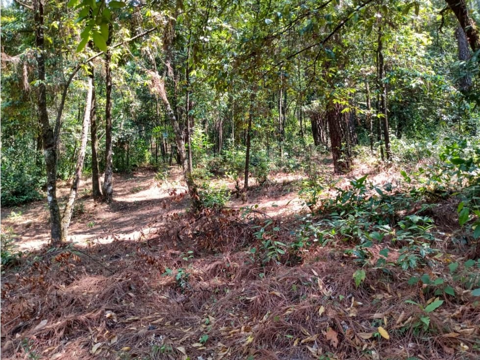 TERRENO EN GO-KARTS — foto 1