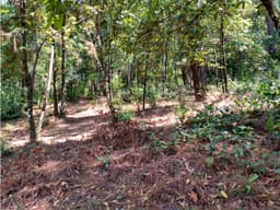 TERRENO EN GO-KARTS