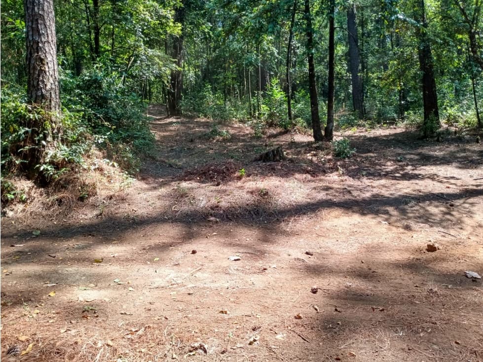 TERRENO EN GO-KARTS — foto 2