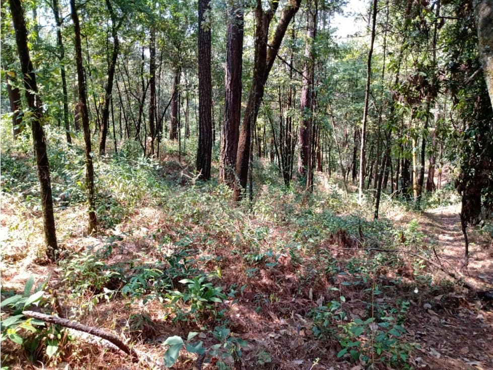 TERRENO EN GO-KARTS — foto 3