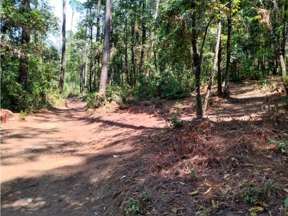 TERRENO EN GO-KARTS — foto 4