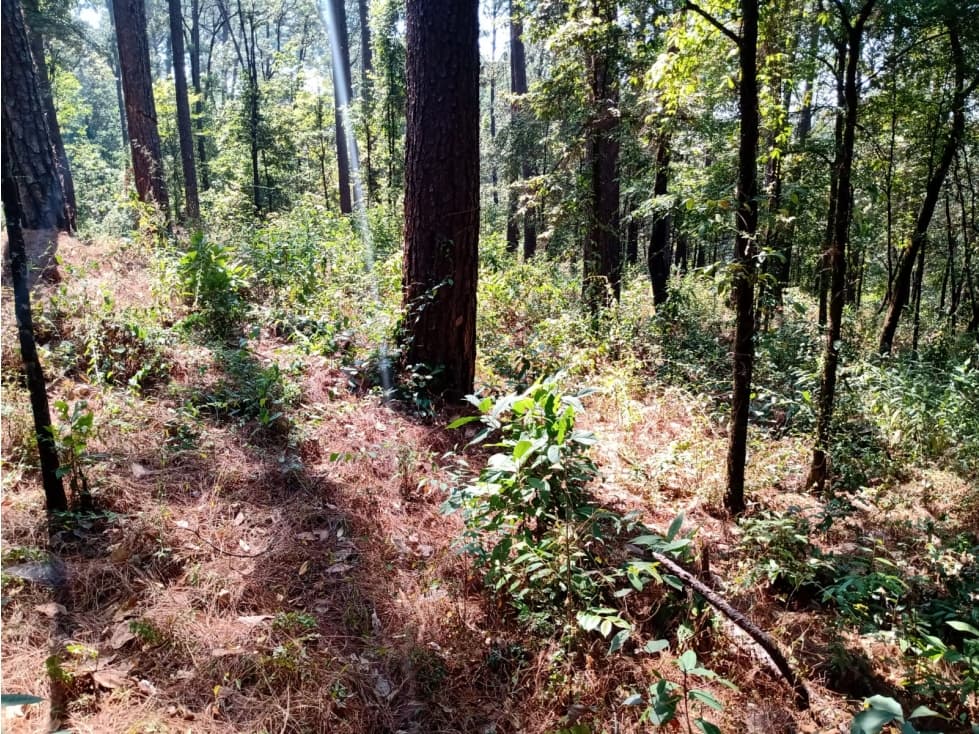TERRENO EN GO-KARTS — foto 5