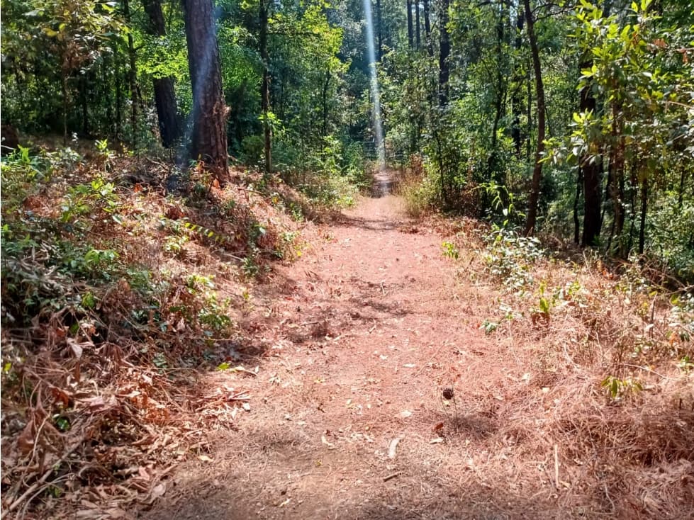 TERRENO EN GO-KARTS — foto 6