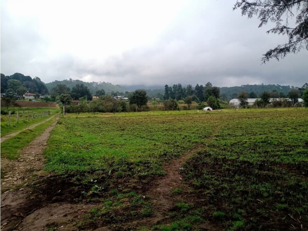 TERRENO SAN SIMÓN ALTO — foto 2