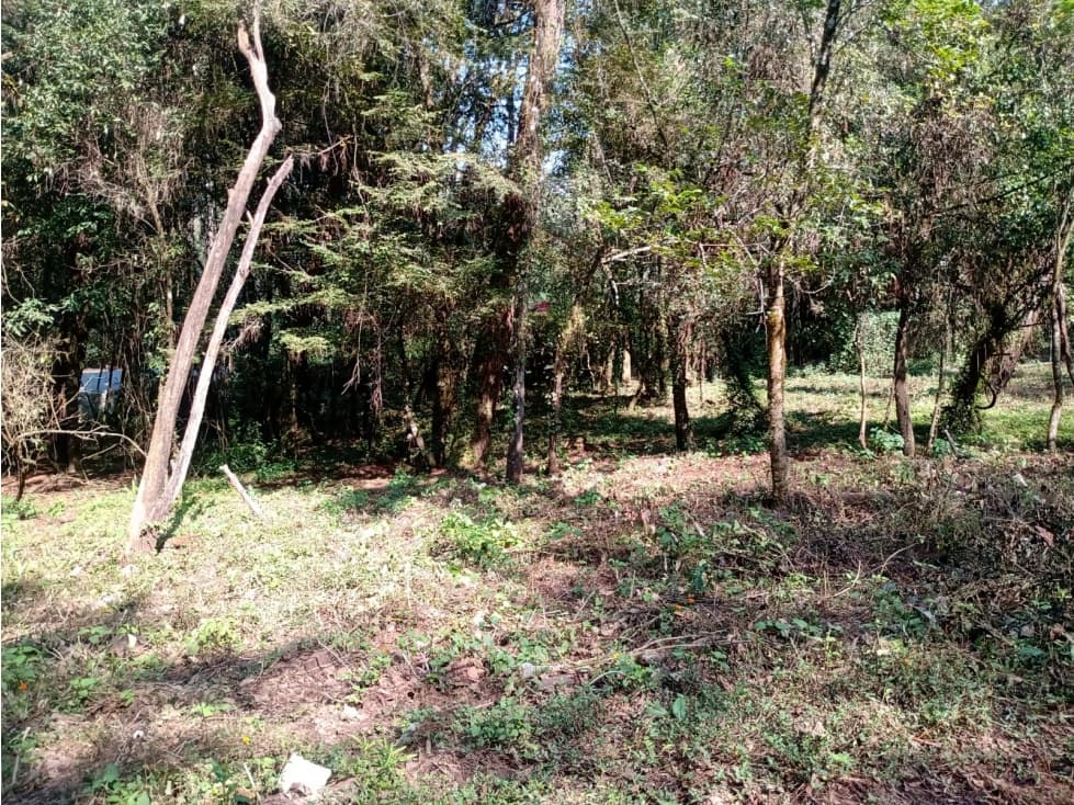 TERRENO FONTANAS PARA DESARROLLAR — foto 2