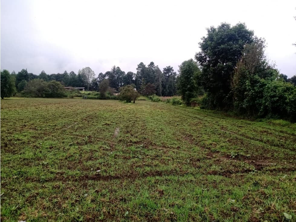 TERRENO SAN SIMÓN ALTO — foto 4