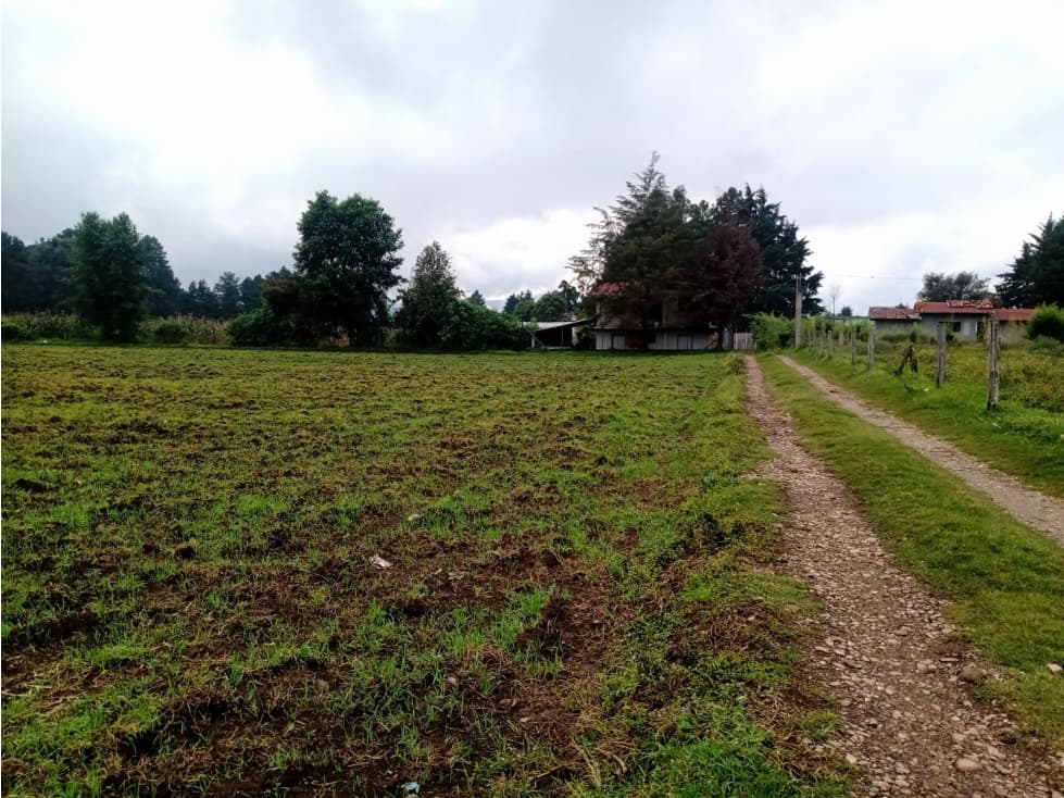 TERRENO SAN SIMÓN ALTO — foto 6
