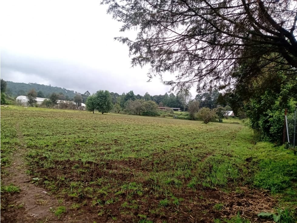 TERRENO SAN SIMÓN ALTO — foto 3