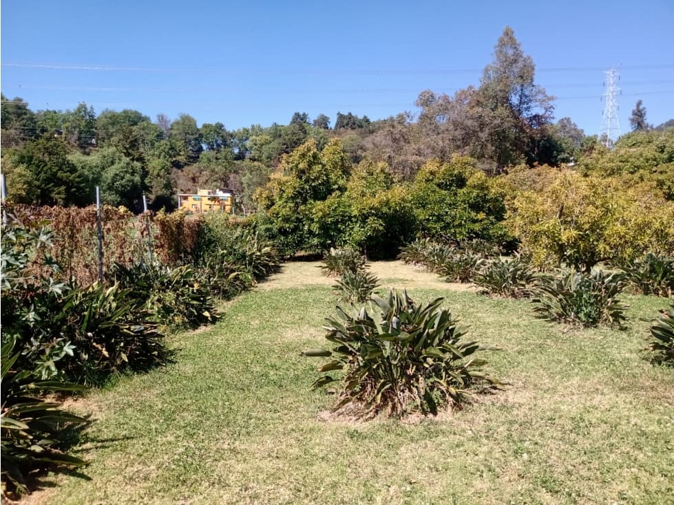 TERRENO AVE DE PARAÍSO — foto 3
