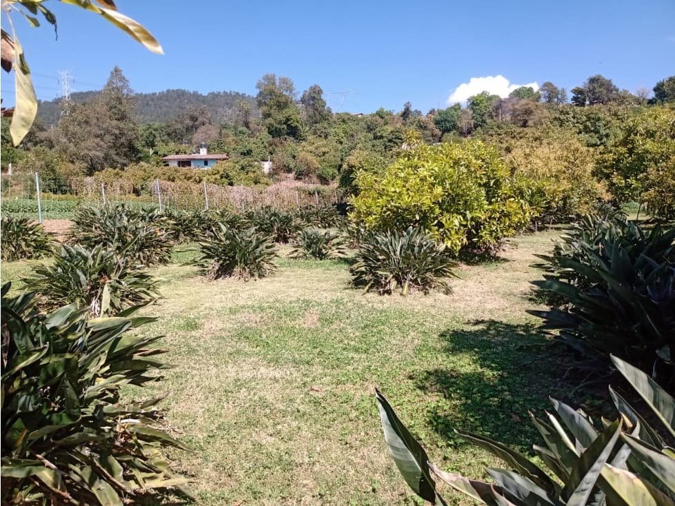 TERRENO LA CANDELARIA — foto 5