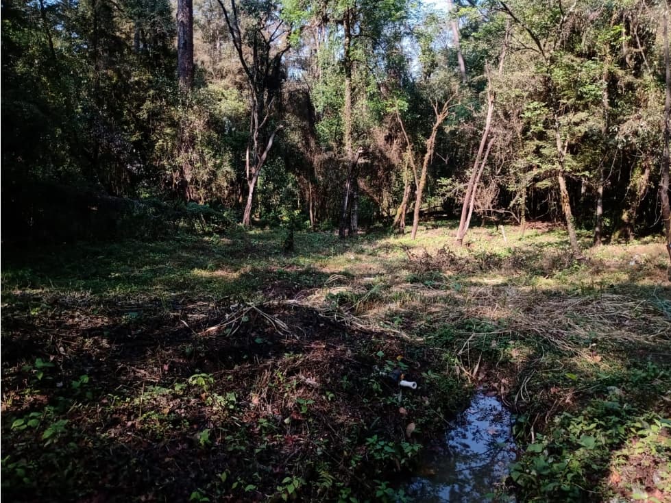 TERRENO FONTANAS PARA DESARROLLAR — foto 3