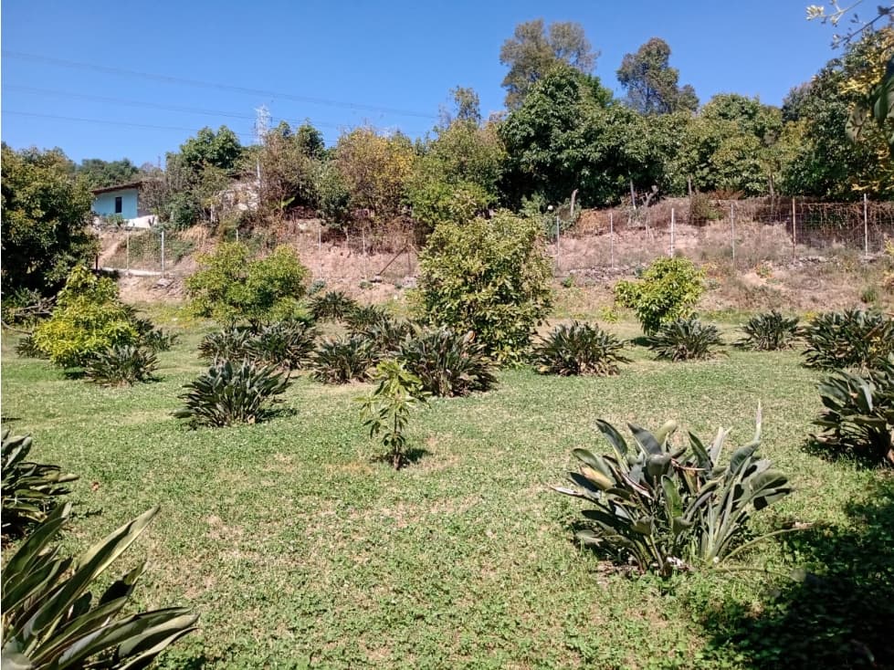 TERRENO AVE DE PARAÍSO — foto 4