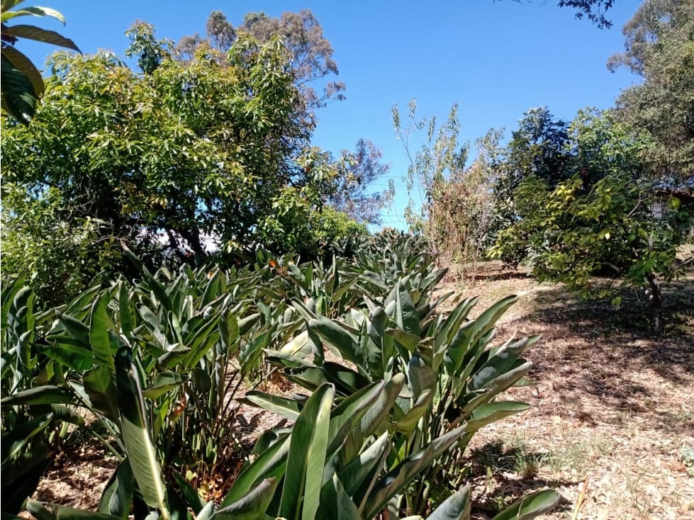 TERRENO PIPIOLTEPEC — foto 5