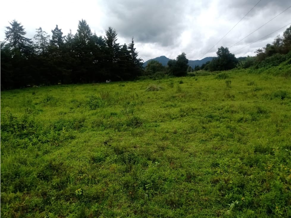 TERRENO LAS TORRES ACATITLÁN — foto 5