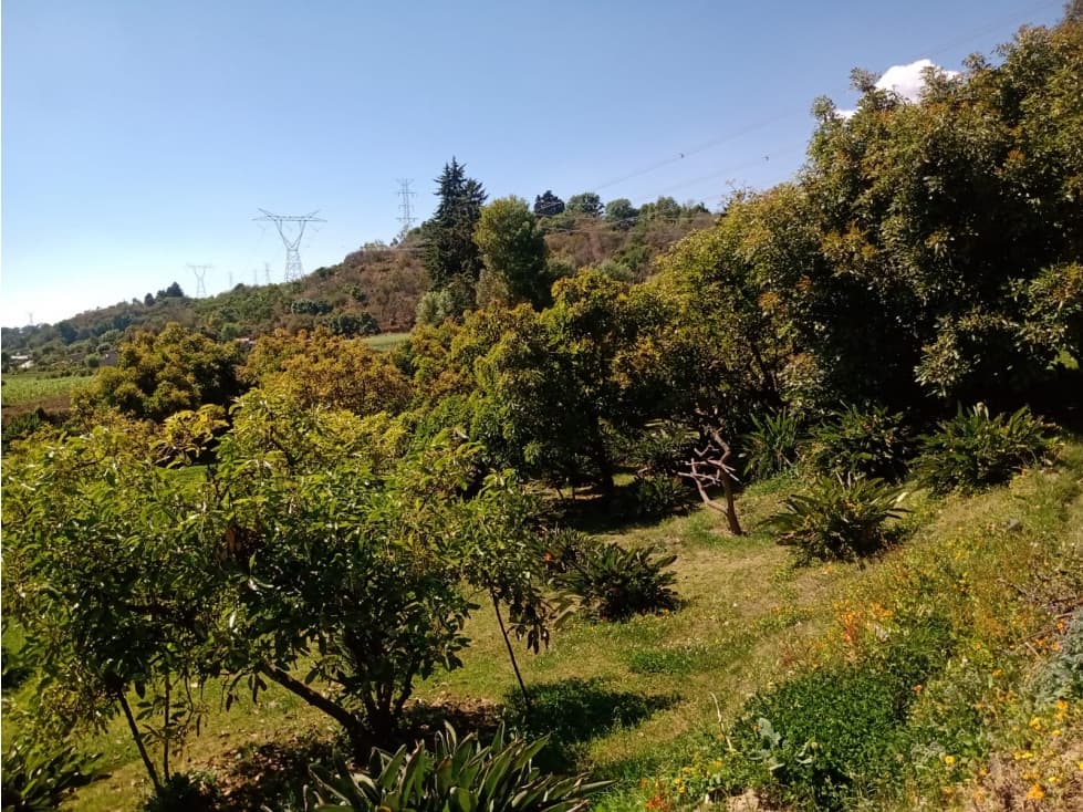 TERRENO AVE DE PARAÍSO — foto 5