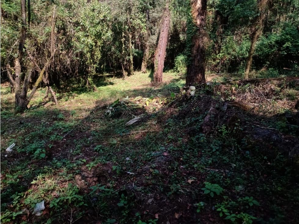 TERRENO FONTANAS PARA DESARROLLAR — foto 6