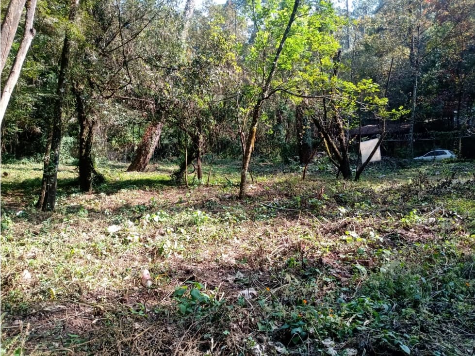TERRENO FONTANAS PARA DESARROLLAR — foto 5