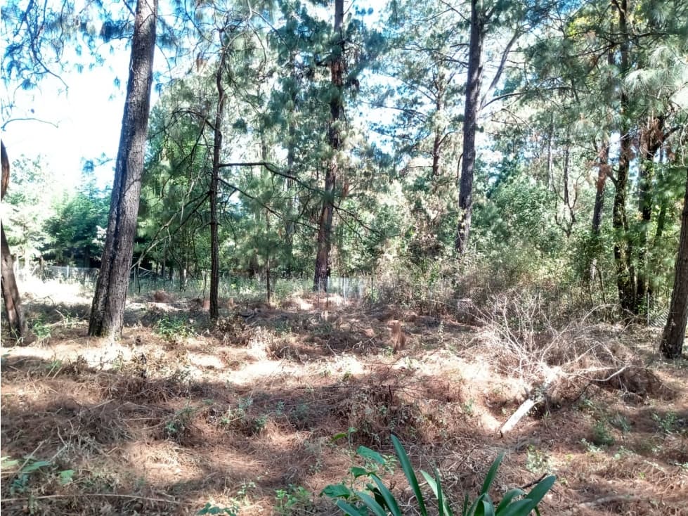 TERRENO CAMINO A CERRO GORDO — foto 2