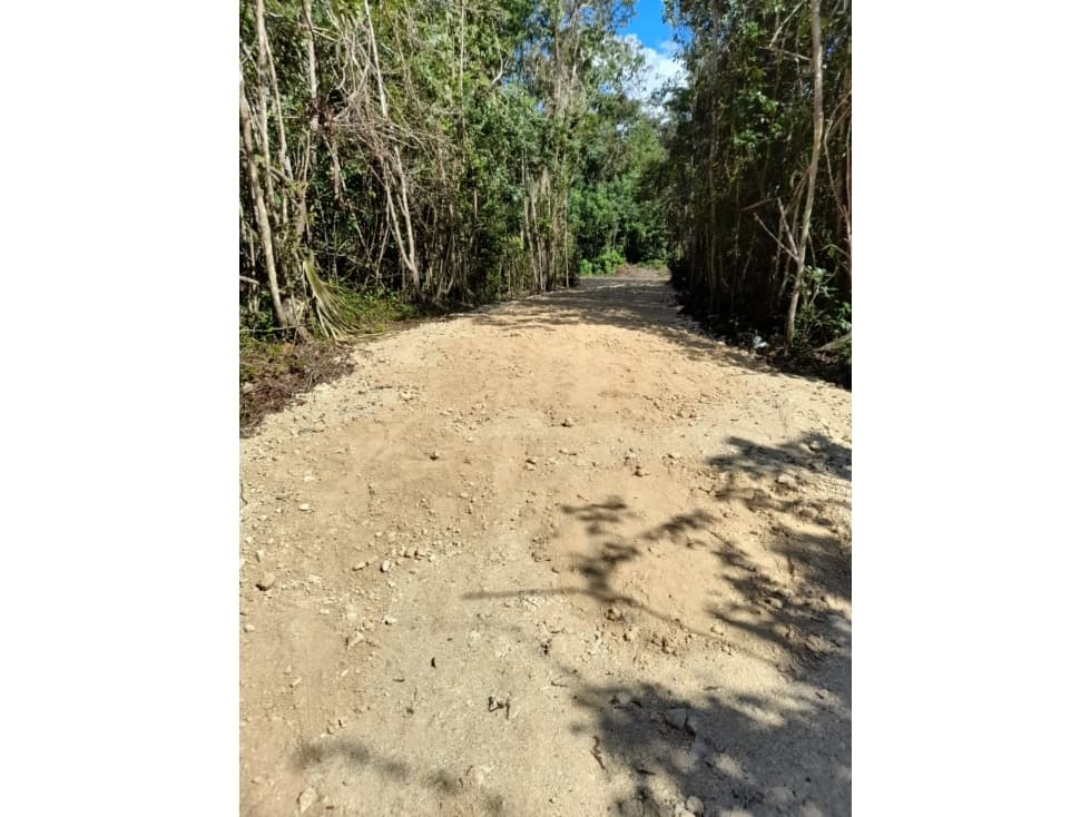 Terreno de inversión — foto 6