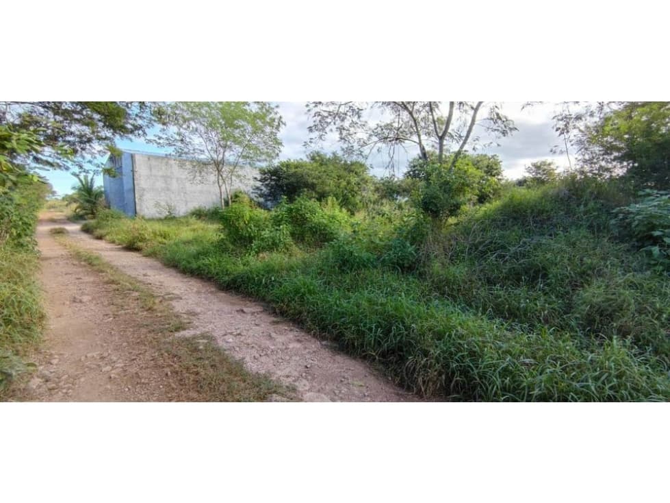 Se venden terrenos en Chichi Suarez — foto 1