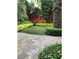 Linda casa en el centro de coyoacán, en calle empedrada