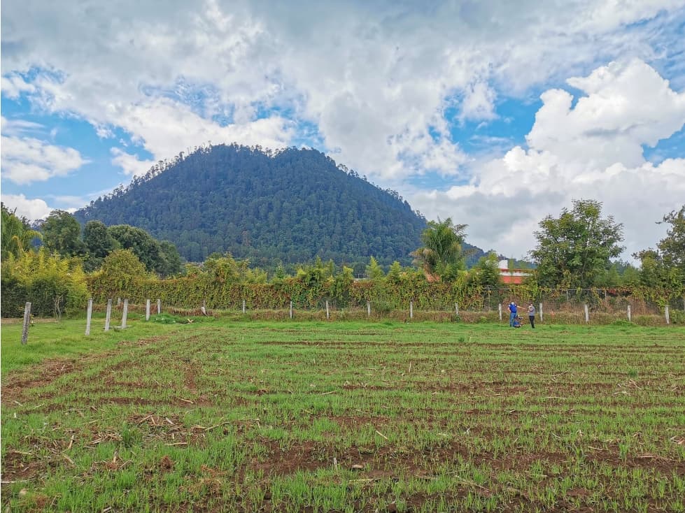 OPORTUNIDAD DE INVERSIÓN | TERRENO EN VALLE DE BRAVO — foto 5