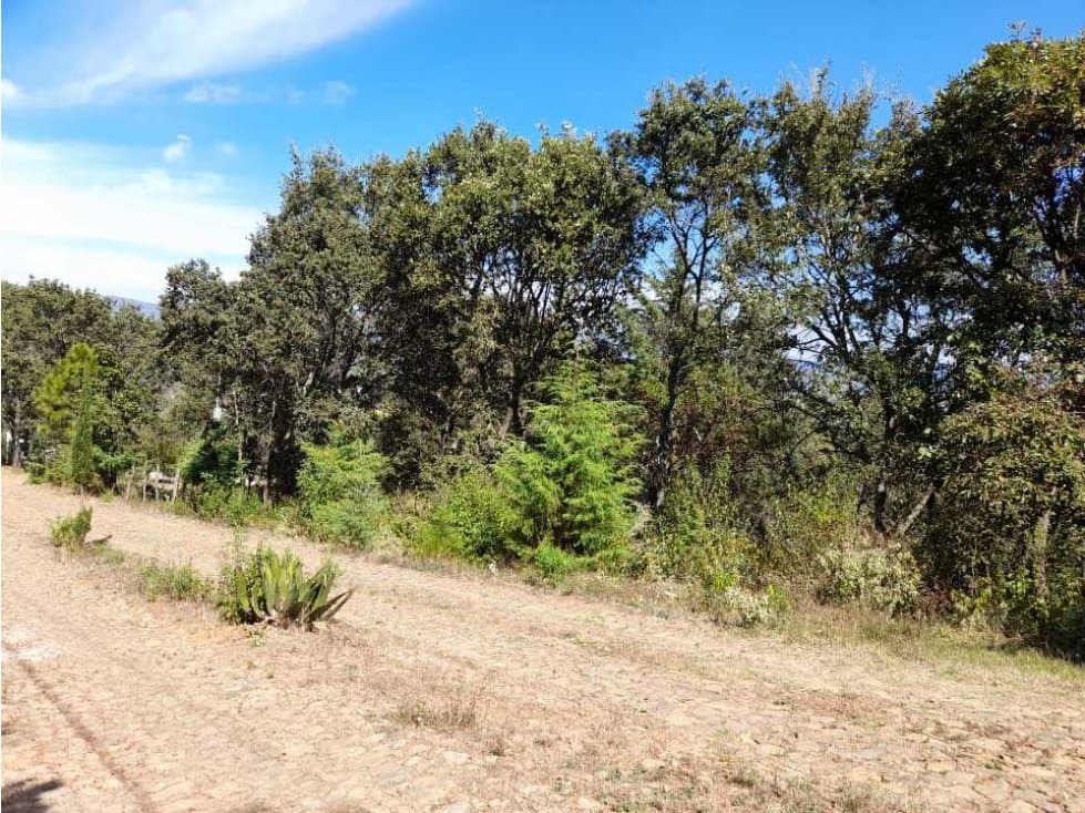 Terreno en venta el Zitunero Pátzcuaro — foto 1