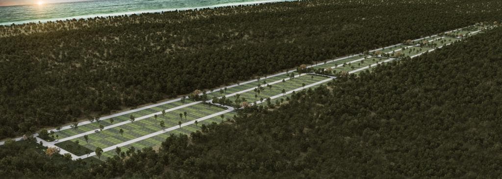 Terrenos en Venta a 10 min de las playas de Telchac Yucatan — foto 1