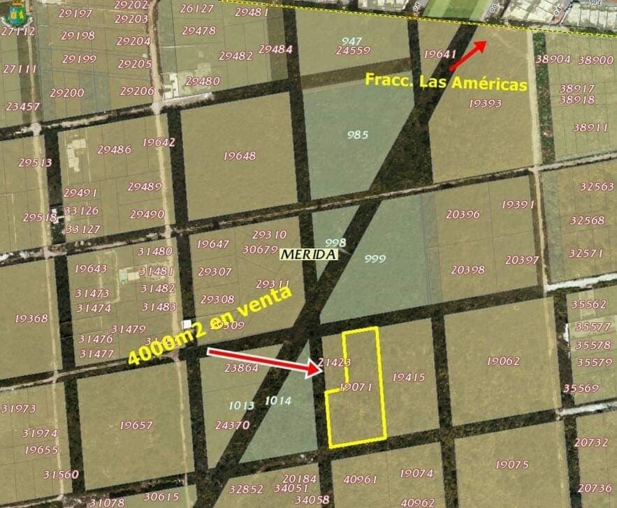 TERRENO DE 4,000m2 EN VENTA EN DZITYÁ — foto 1