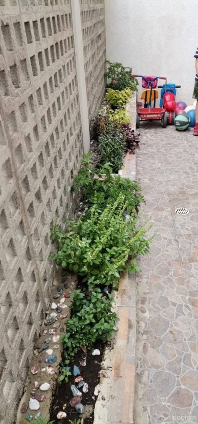Departamentos en electricistas — foto 10