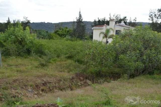 Terreno en venta ideal para casa de campo colotlan — foto 4