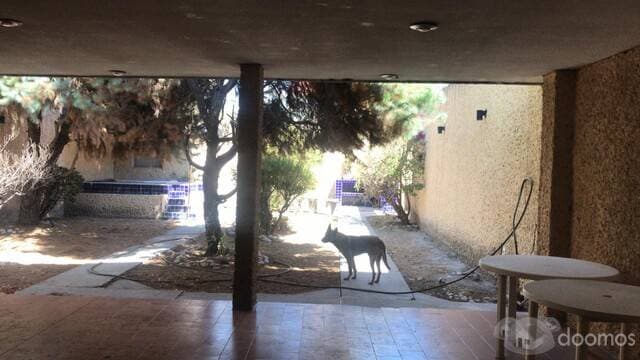 CASA EN VENTA EN COL. ARBOLEDAS 2A. SECC — foto 14